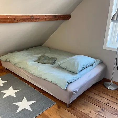 Large & Cozy Appartement