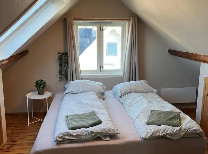 Large & Cozy 아파트