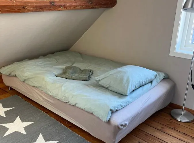 Large & Cozy Leilighet